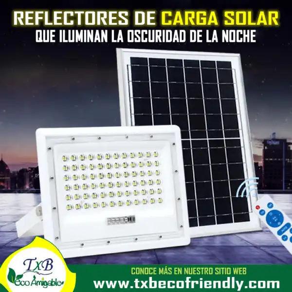 linea-vigilancia-2