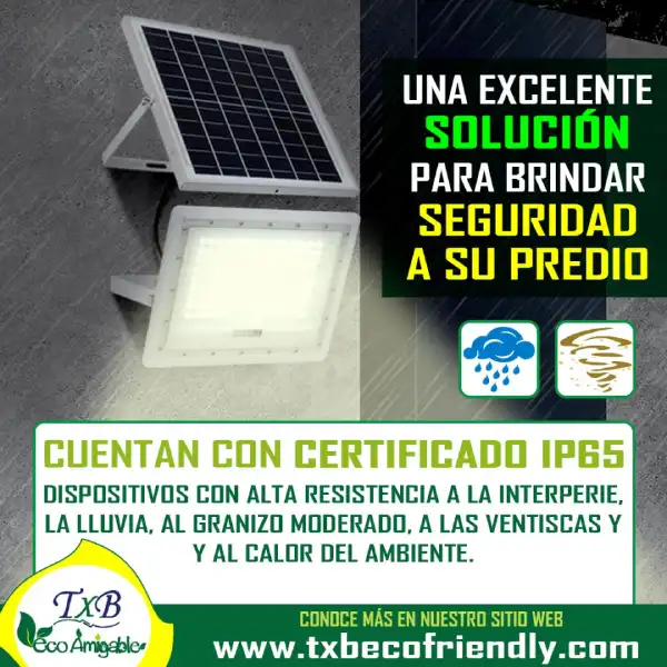 linea-vigilancia-4