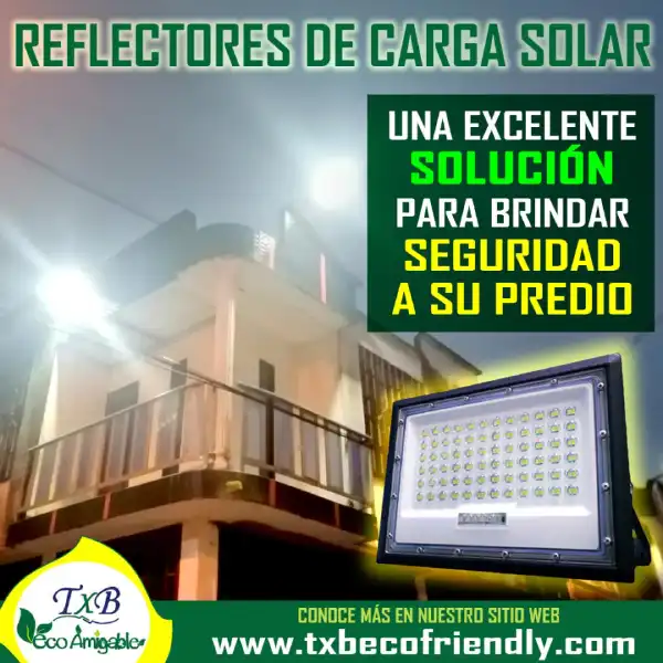 linea-vigilancia-5